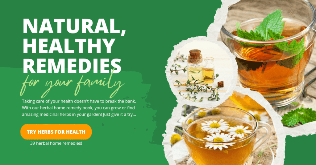 The Herbal Remedy Companion Bundle