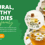 The Herbal Remedy Companion Bundle