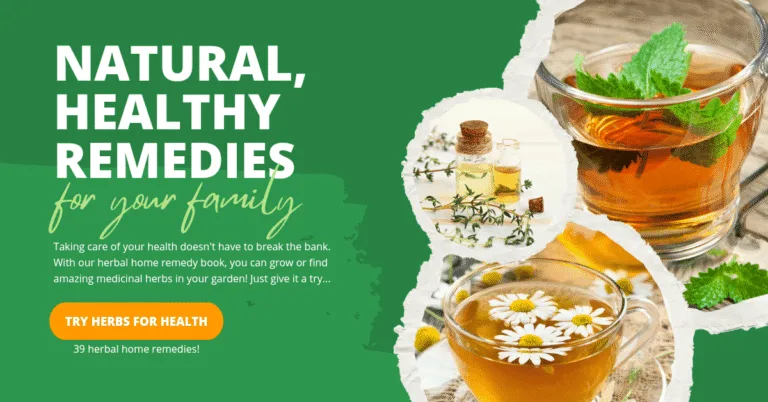 The Herbal Remedy Companion Bundle